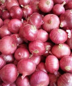 onions