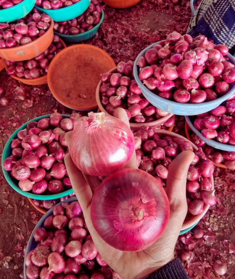 onion 2